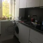 Perfect Spacious Vacation Center Of City